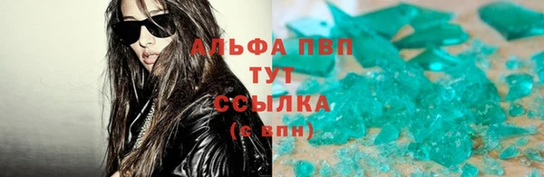 индика Баксан