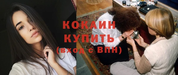 индика Баксан