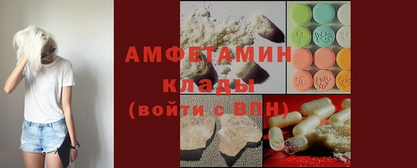 индика Баксан