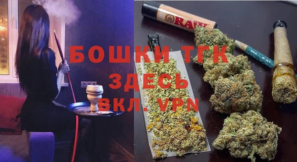 индика Баксан