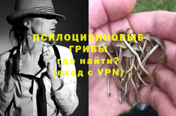 индика Баксан