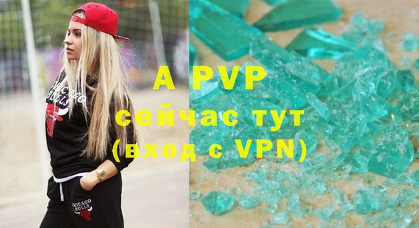 индика Баксан