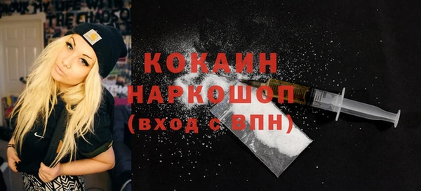 индика Баксан