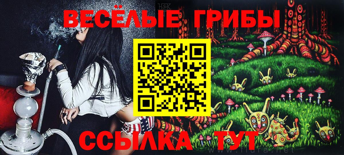 Вольск  Псилоцибиновые грибы мицелий  Вход с VPN 