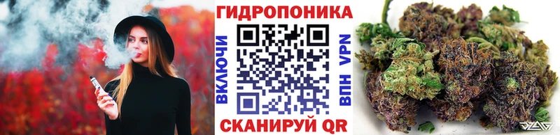 Конопля сатива Вольск